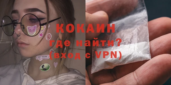 ГАЛЛЮЦИНОГЕННЫЕ ГРИБЫ Богданович