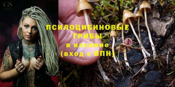 spice Покров