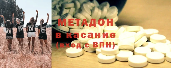 прущие грибы Беломорск
