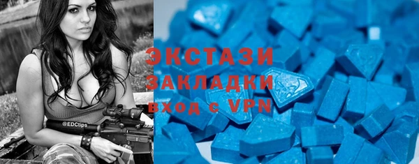 ГАЛЛЮЦИНОГЕННЫЕ ГРИБЫ Богданович