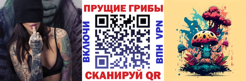 купить   Динская  Галлюциногенные грибы ЛСД 
