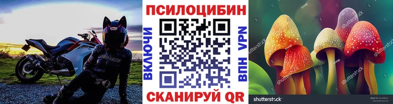 Галлюциногенные грибы ЛСД Динская